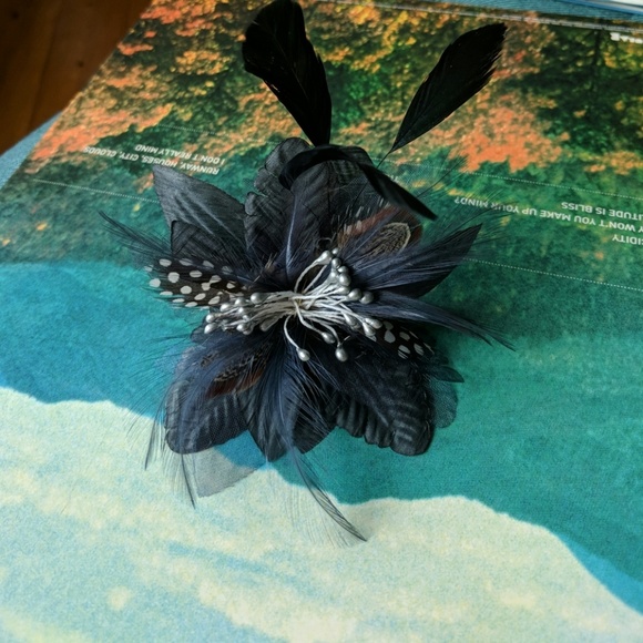 Art Deco Feather Hair Clip/Brooch - Picture 2 of 5